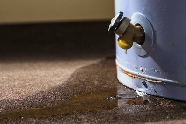 Best 24-hour water damage restoration  in Granvle, IL