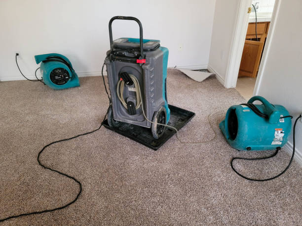 Best Basement water damage restoration  in Granvle, IL