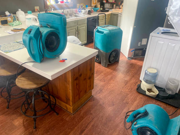 Carpet water damage restoration in IL