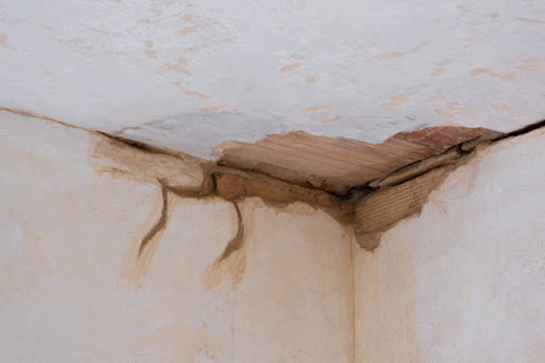 Best 24-hour water damage restoration  in Granvle, IL