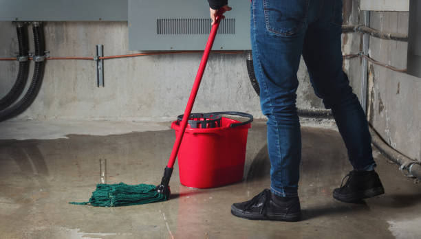 Best Professional water damage repair  in Granvle, IL