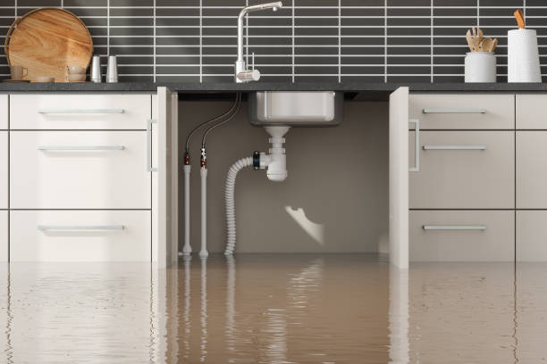 Best Water damage contractors near me  in Granvle, IL